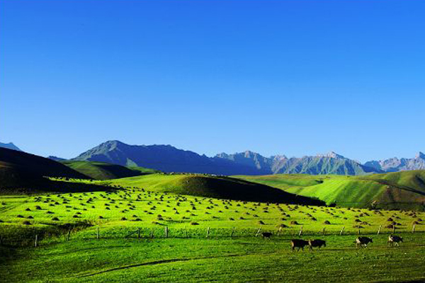 Z6��������ʱ��(�й���)�ٷ���վ