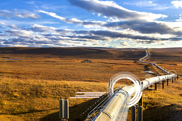 Z6��������ʱ��(�й���)�ٷ���վ