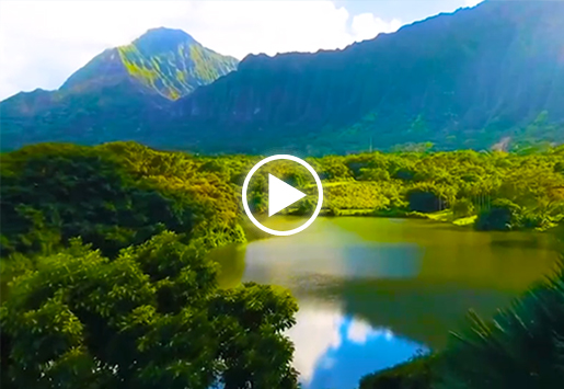 Z6������ʱ��Դ����Ƭ