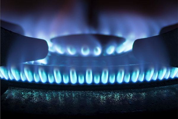 Z6��������ʱ��(�й���)�ٷ���վ