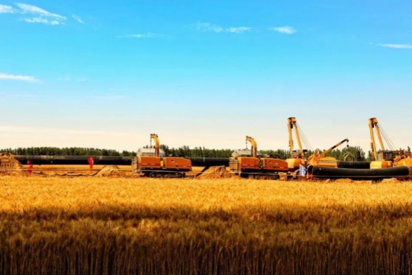 Z6��������ʱ��(�й���)�ٷ���վ