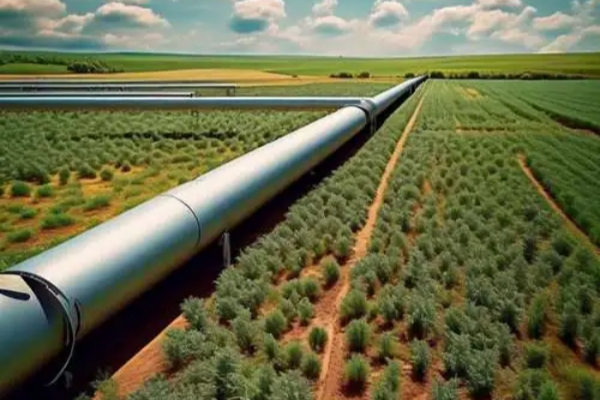 Z6��������ʱ��(�й���)�ٷ���վ